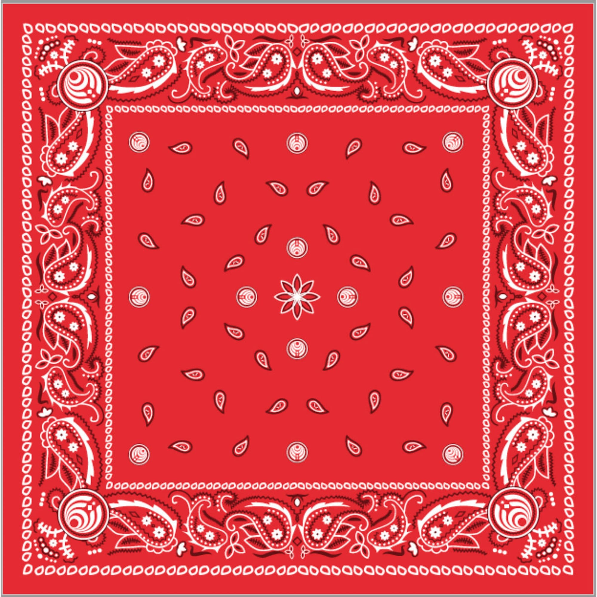 Red Paisley Bandana – Bassnectar - The Other Side