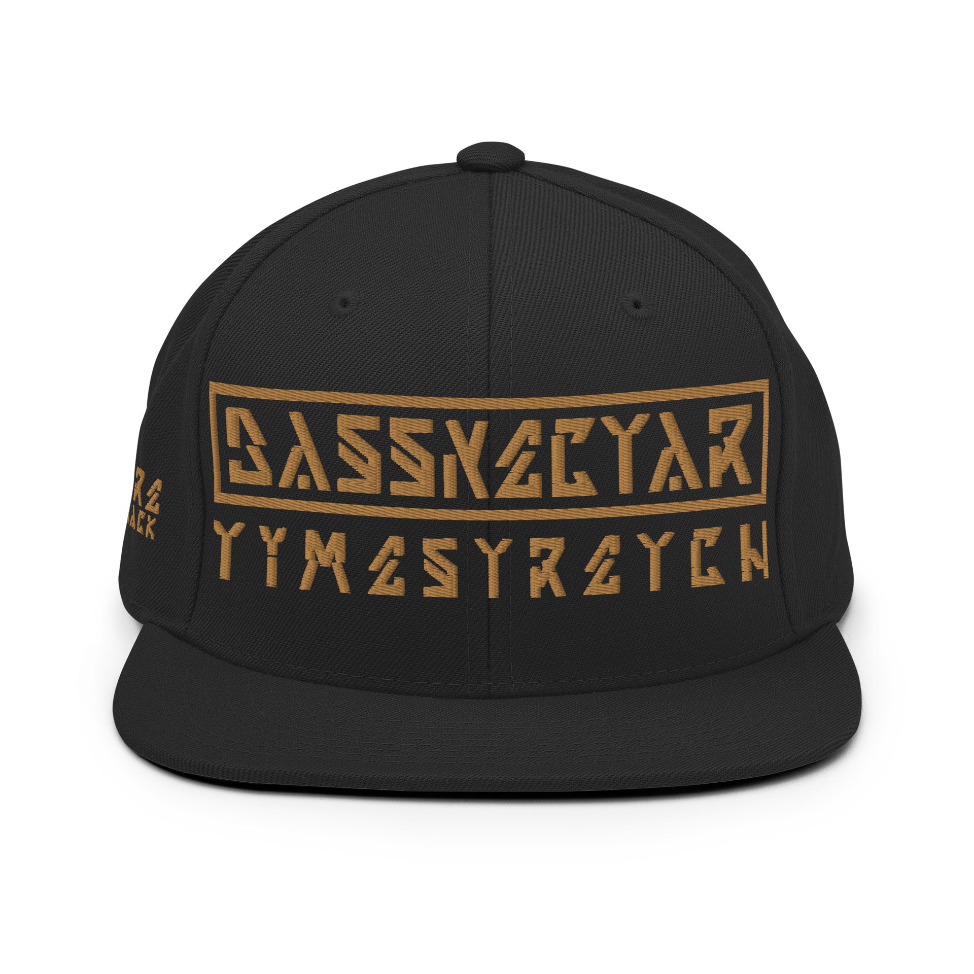 Timestretch Future Throwback Snapback